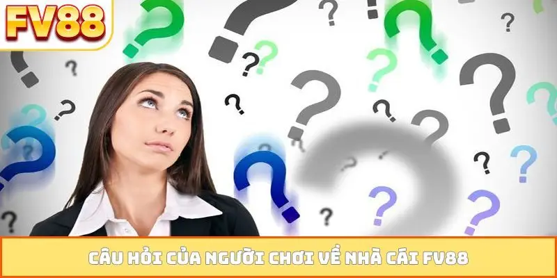 Câu hỏi của người chơi về nhà cái FV88