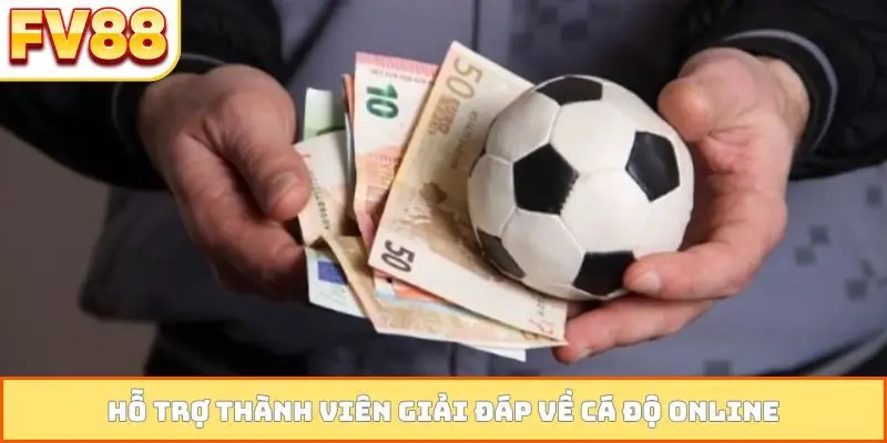 Hỗ trợ thành viên giải đáp về cá độ online